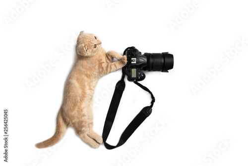 Photographer concept card. Cute cat with camera taking a photo isolated on white background. World photography day