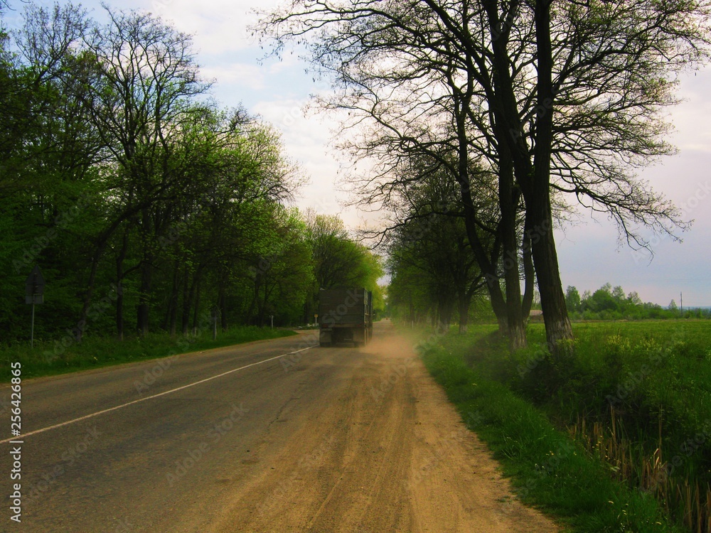 Fototapeta premium view of the beautiful spring forest in bright green colors