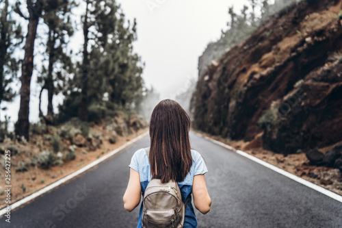 Rear view of long hair brunette girl walking on the foggy road in the mountains