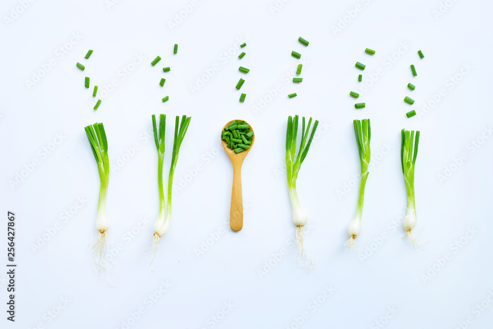 Green onions isolated on white Green onions isolated on white