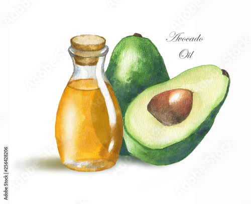 Hand drawn watercolor illustration with ripe avocado and avocado oil in the bottle