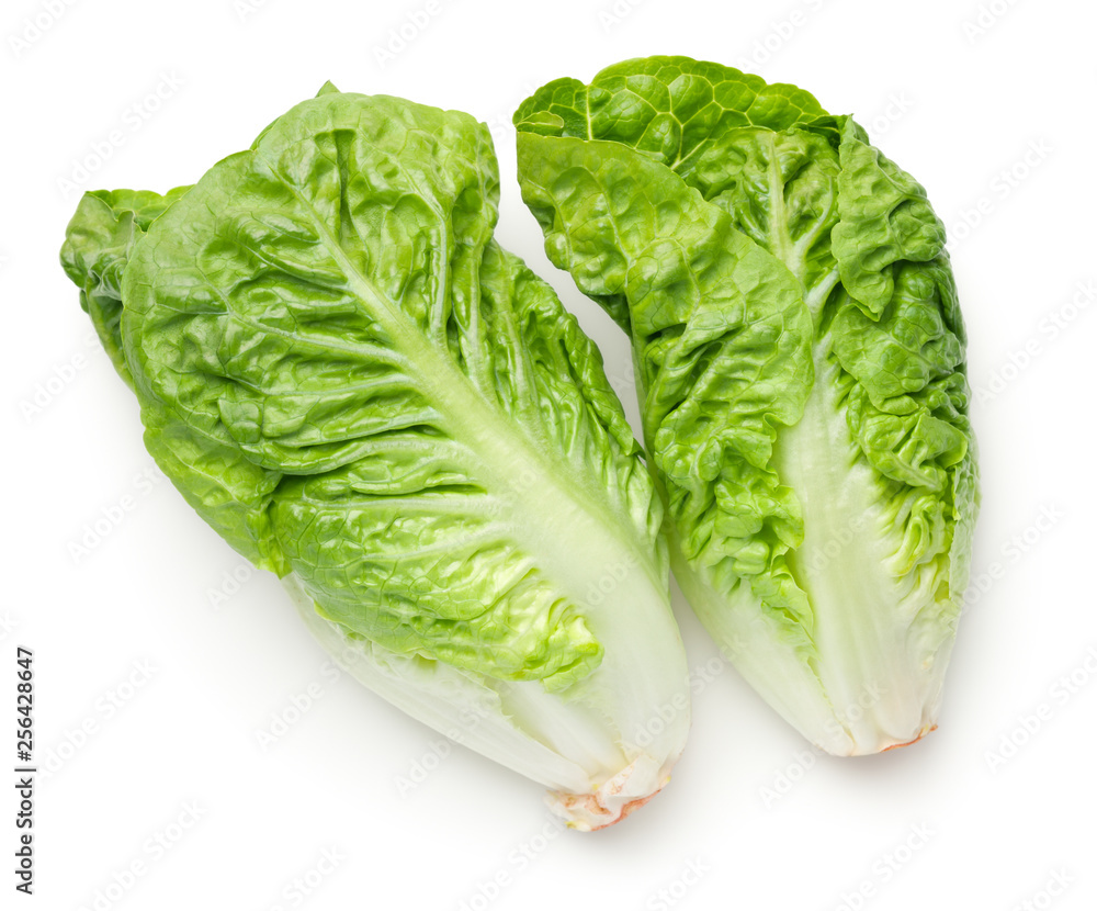 Romaine Lettuce Isolated On White Background Romaine Lettuce Isolated On White Background