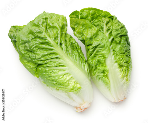 Schilderij op canvas Romaine Lettuce Isolated On White Background