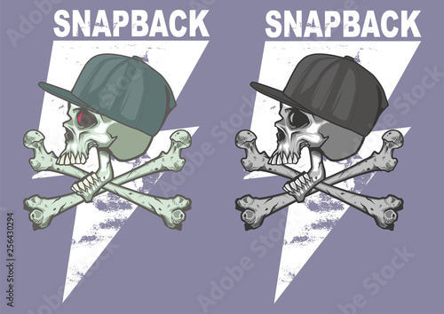 skull with snap back and cross bone