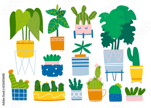 Various home plants. Various pots. Monstera, rubber plant and cacti. Indoor potted plants. Hand drawn trendy set. Cartoon flat vector illustration. Home decor. All elements are isolated