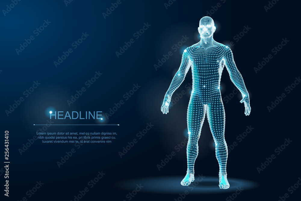 Human Body 3D Polygonal Wireframe Blueprint. Vector Illustration