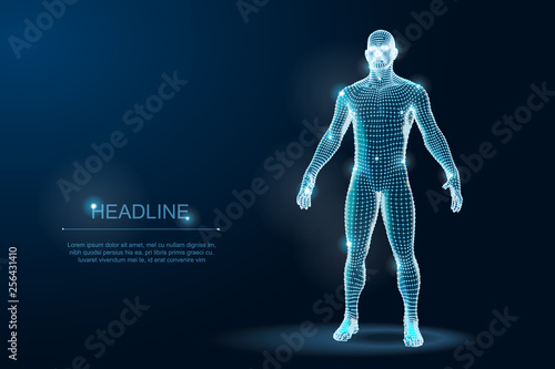 Human Body 3D Polygonal Wireframe Blueprint. Vector Illustration