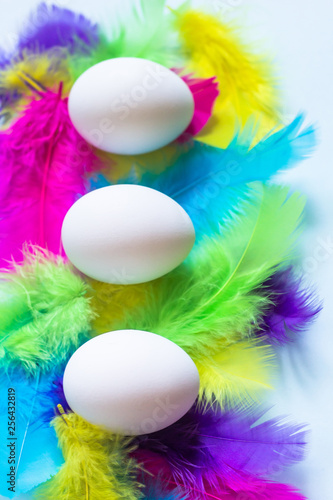 Happy Easter concept with colorful feathers and white eggs on light pastel background.
