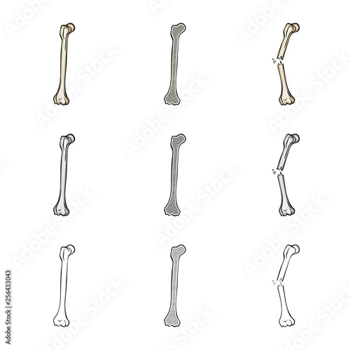 Isolated object of medicine and clinic icon. Set of medicine and medical stock symbol for web.
