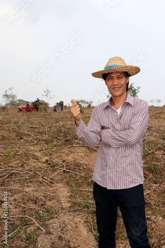 Male farmer standing and thumbs up in the cassava farm.