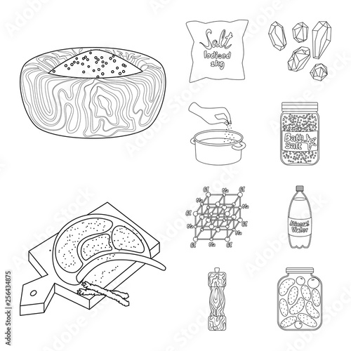Vector design of sodium  and mineral  symbol. Collection of sodium  and kitchen  stock vector illustration.