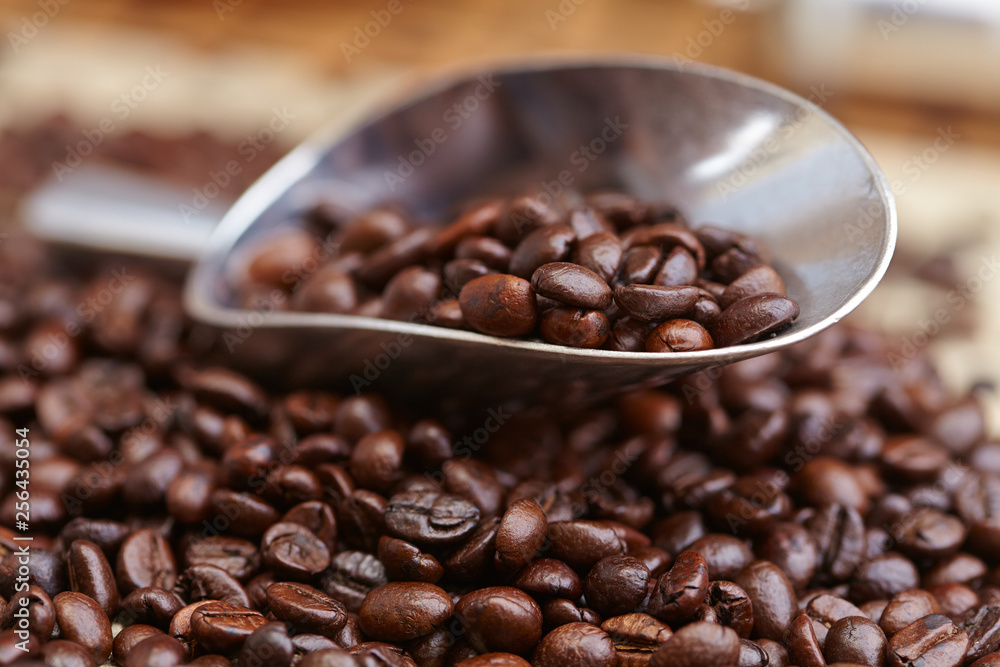 Fototapeta premium coffee beans closeup