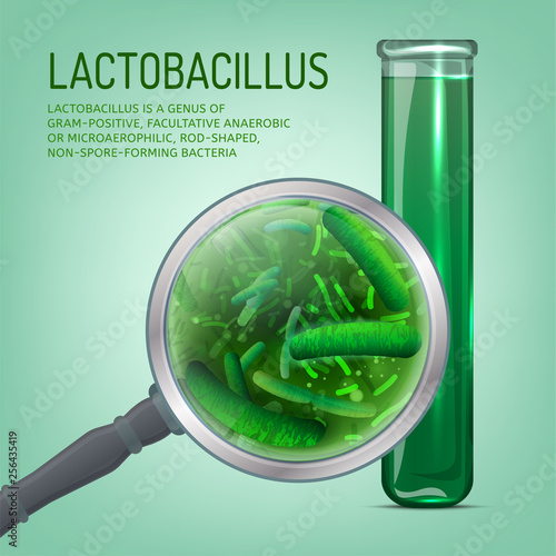 Lactobacillus probiotics image