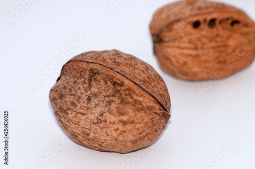 Walnuts on a white background close-up, macro