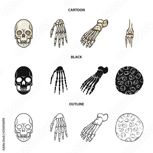 Isolated object of medicine and clinic logo. Collection of medicine and medical vector icon for stock.