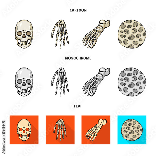 Isolated object of medicine and clinic icon. Set of medicine and medical stock symbol for web.