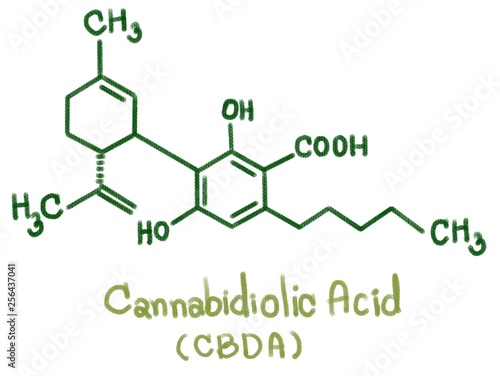 Cannabidiolic acid is a dihydroxybenzoic acid that is olivetolic acid in which the hydrogen at position 3 is substituted by a 3-p-mentha-1,8-dien-3-yl (limonene) group. It is a phytocannabinoid