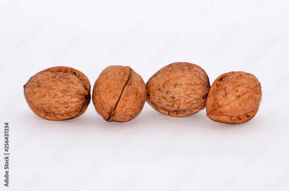 Walnuts on a white background, copy space for text. Walnuts on a white background, copy space for text.