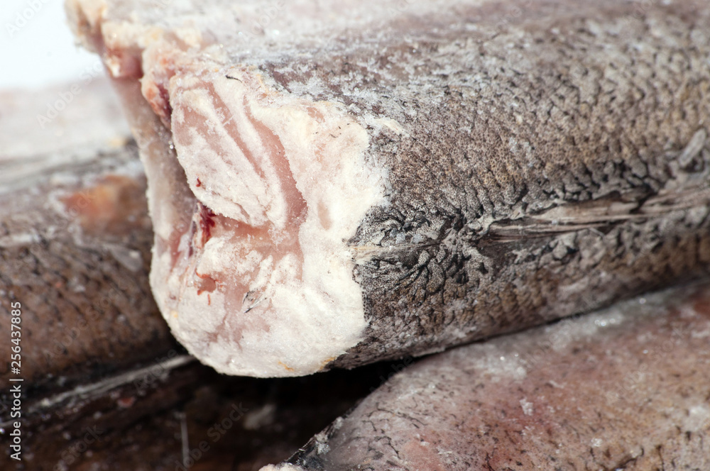 Obraz premium Frozen fish hake close-up on white background macro