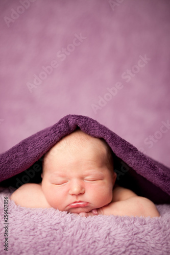 Newborn Baby Girl Sleeping Peacefully Under Blanket - Infant Portrait