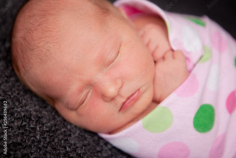 Newborn Baby Girl Swaddled in Blanket - Sleeping Infant Newborn Baby Girl Swaddled in Blanket - Sleeping Infant
