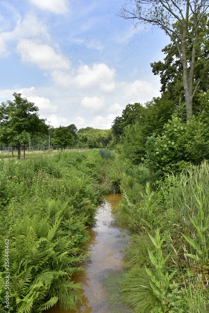 Petit ruisseau eaux eaux brunâtres contrastant avec la verdure luxuriante qu'il traverse ,au domaine provinciale de Vrijbroekpark à Malines Petit ruisseau eaux eaux brunâtres contrastant avec la verdure luxuriante qu'il traverse ,au domaine provinciale de Vrijbroekpark à Malines