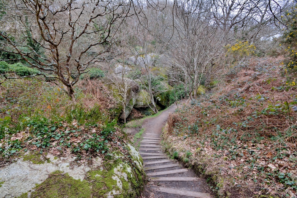 Sentier dans la vallée des Traouiero en Bretagne. France Sentier dans la vallée des Traouiero en Bretagne. France