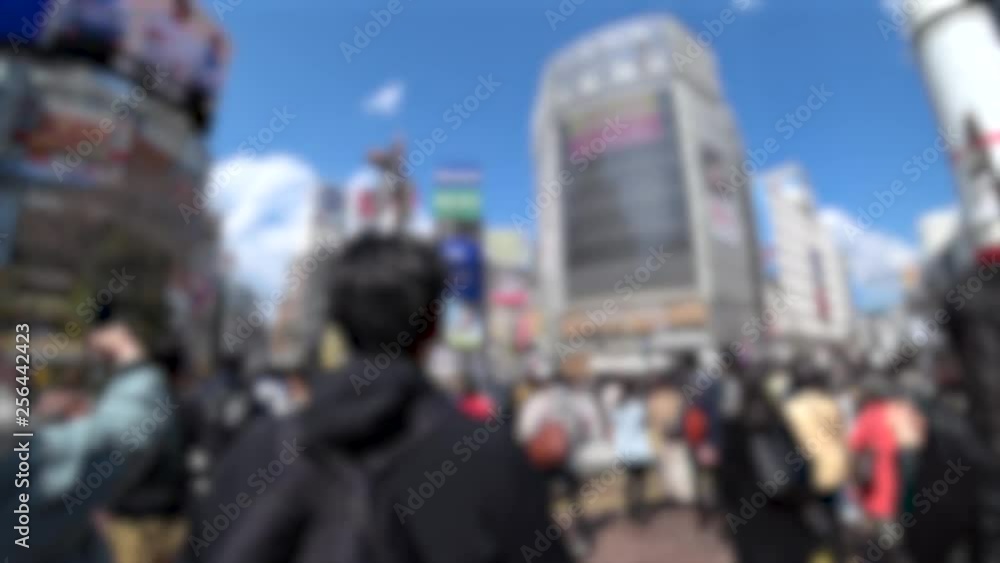 SHIBUYA, TOKYO, JAPAN - CIRCA MARCH 2019 : Blurred view around SHIBUYA big scramble crossing area. Wide view shot. SHIBUYA, TOKYO, JAPAN - CIRCA MARCH 2019 : Blurred view around SHIBUYA big scramble crossing area. Wide view shot.