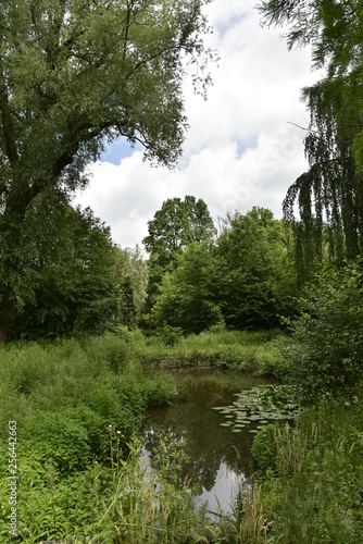 Marre isolée en pleine végétation sauvage au domaine provincial de Vrijbroekpark à Malines