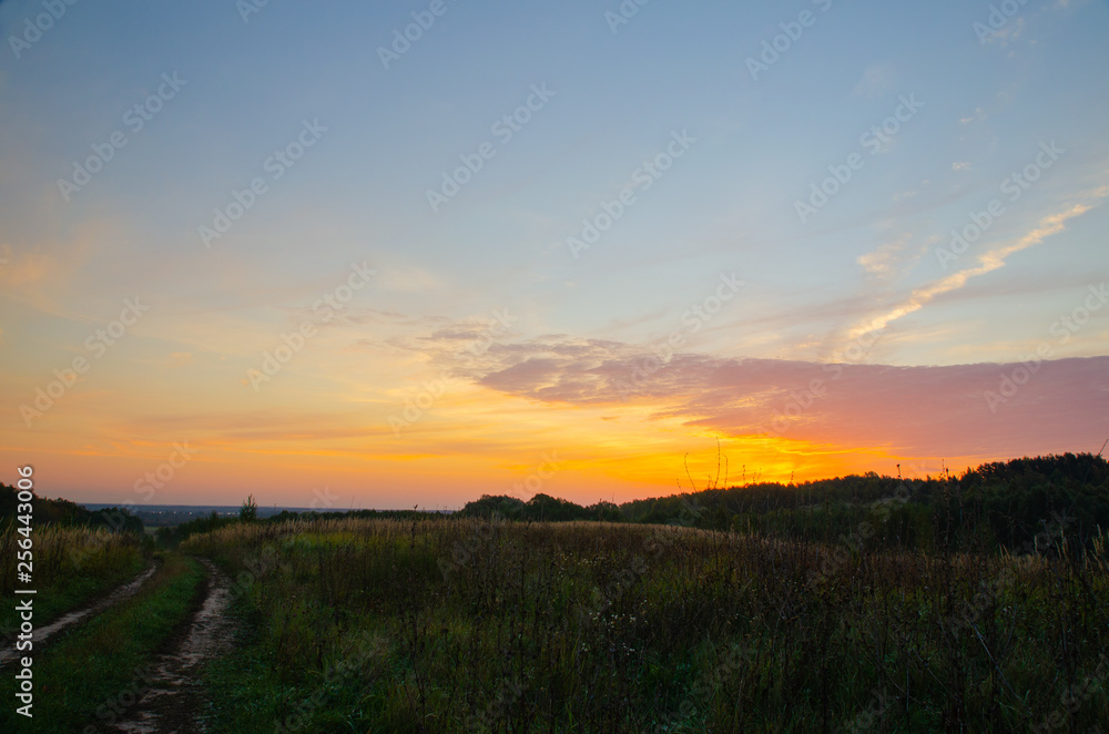 sunset over the field