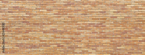 Cuadro en lienzo Brick wall, unplastered