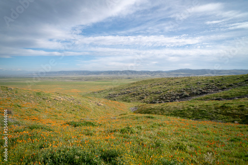 Poppies in valley of mountains © FroZone