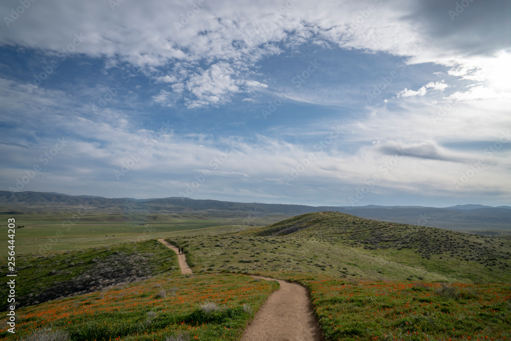Naklejka premium road in the mountains