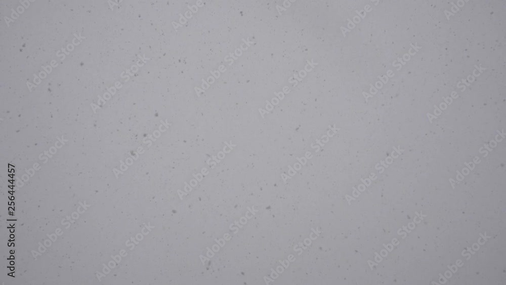 fluffy snow is falling in winter cloudy weather fluffy snow is falling in winter cloudy weather
