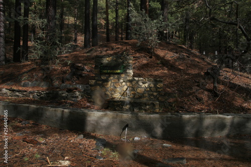 Fresh drinking water?