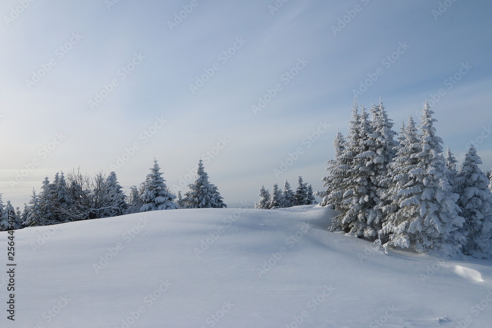 Mont Tremblant - hiver
