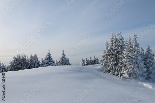 Mont Tremblant - hiver