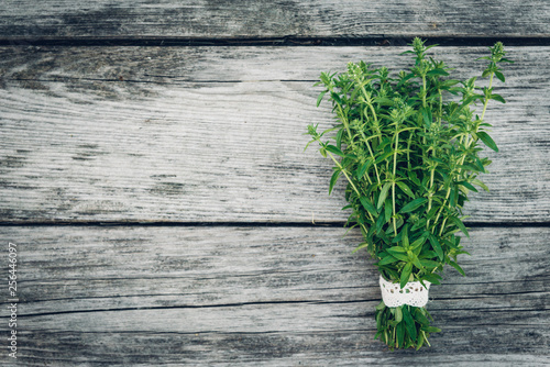 Thyme bunch. Bundle of fresh thymes on a wooden background. Retro magazine picture. Copy space