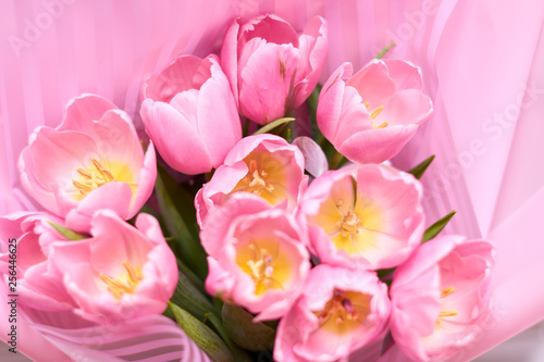 Blooming Tulip Flower. Bouquet of pink tulips © Владислав Легір