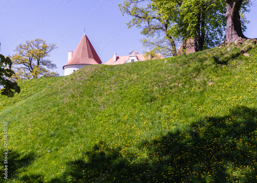 spring day, green grass and a lot of yellow dandelions bloom; on the hill are large trees and the roofs of the towers are visible behind the hill