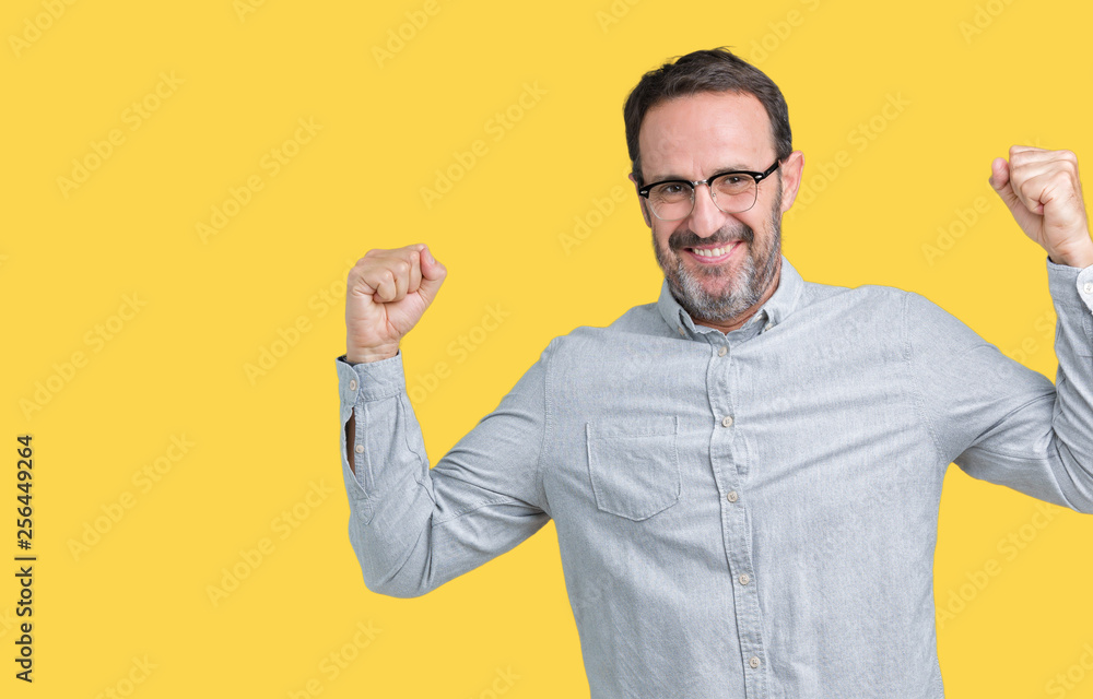 Handsome middle age elegant senior man wearing glasses over isolated background showing arms muscles smiling proud. Fitness concept. Handsome middle age elegant senior man wearing glasses over isolated background showing arms muscles smiling proud. Fitness concept.