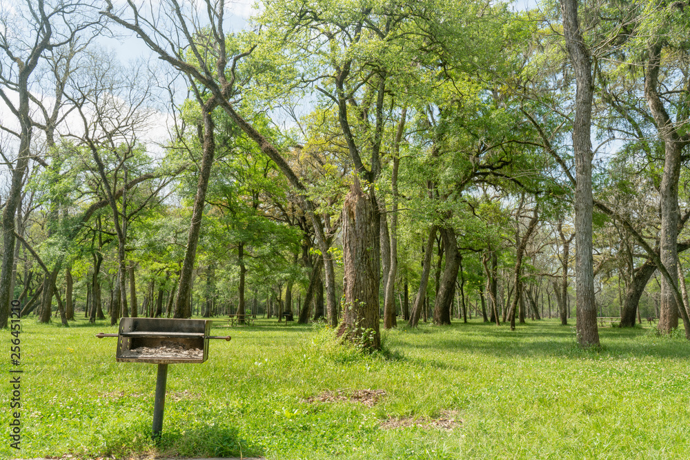 A picnic area in the forest. A picnic area in the forest.