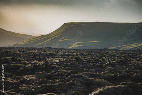 Beautiful volcanic mossy landscape in Iceland with mountain background photo