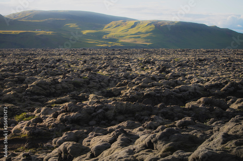 Lava field and lava rocks covered by the moss, panorama photo