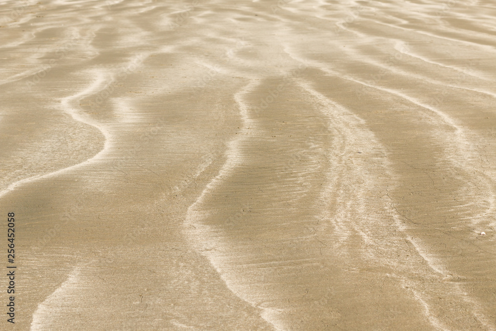 Sea salt lines on a sandy beach Sea salt lines on a sandy beach