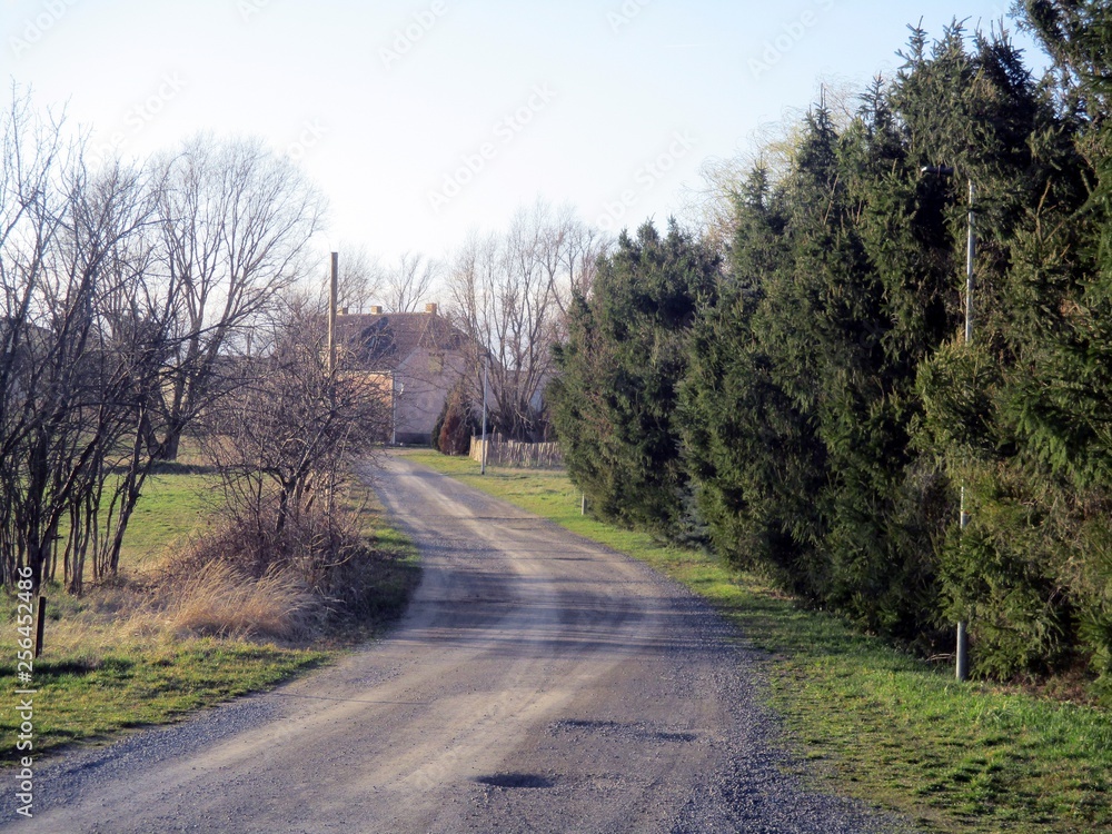 Fototapeta premium Hohenleipisch