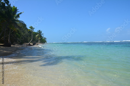 Isla Bastimentos Bocas del Toro Panama - Carenero Island Panama