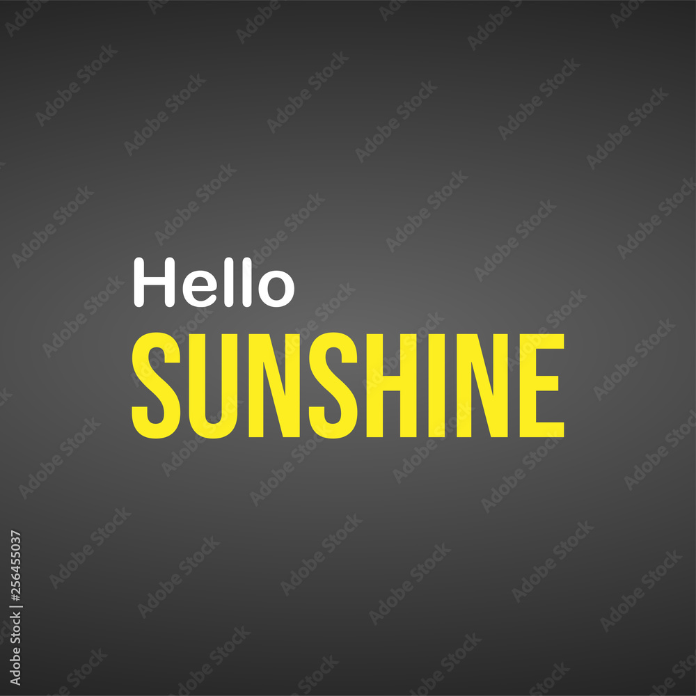 Obraz premium hello sunshine. Life quote with modern background vector