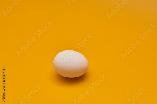 egg on yellow background