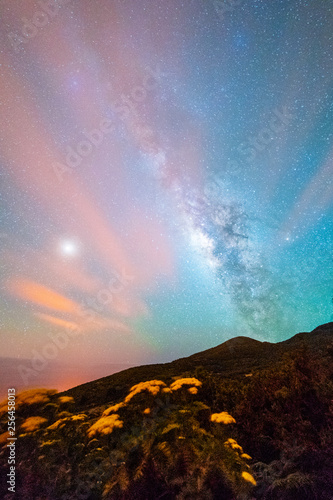Astrofotografía con vía láctea y flores amarillas